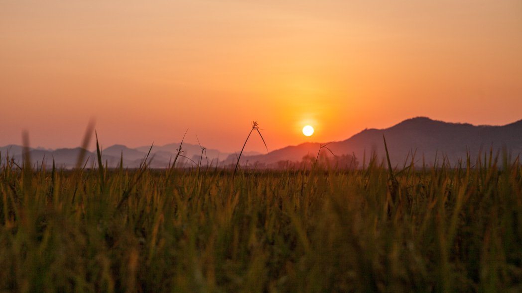 Phong Nha Ke Bang National Park - A Complete Guide to Paradise