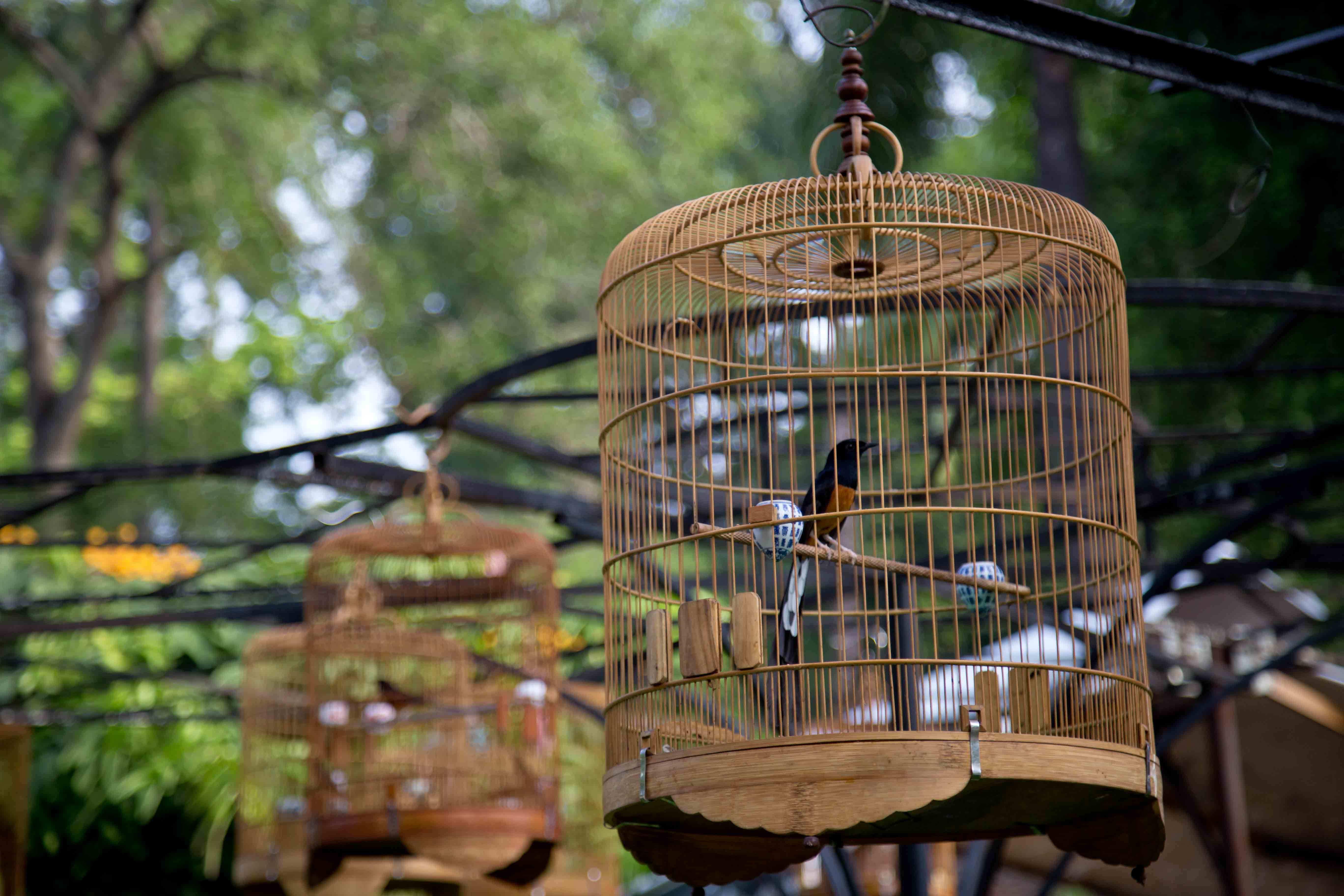 5 Must-See Places in Saigon Most Travelers Miss - The Christina's Blog