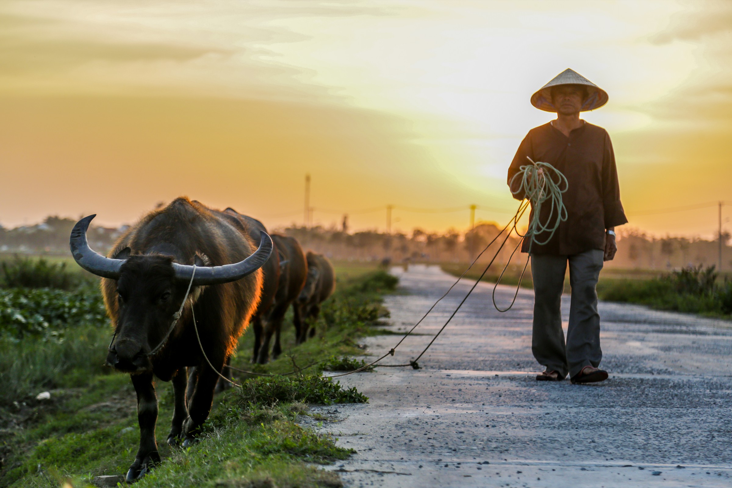 Three Perfect Days in Hoi An with Christina’s - The Christina's Blog
