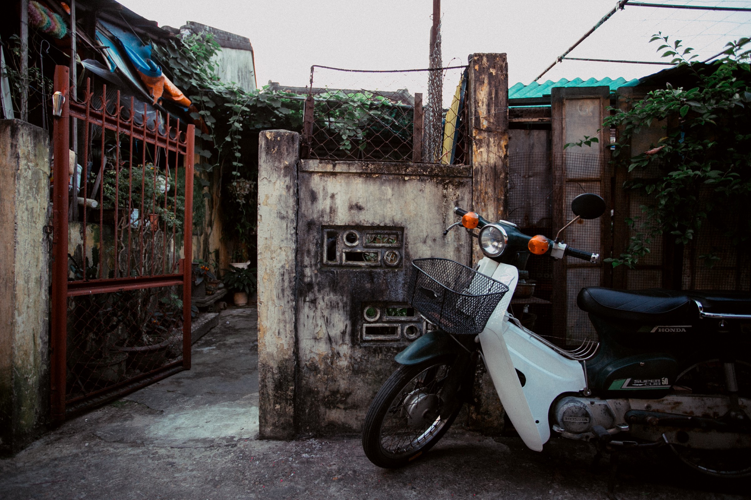 Rent a motorbike in Da Nang