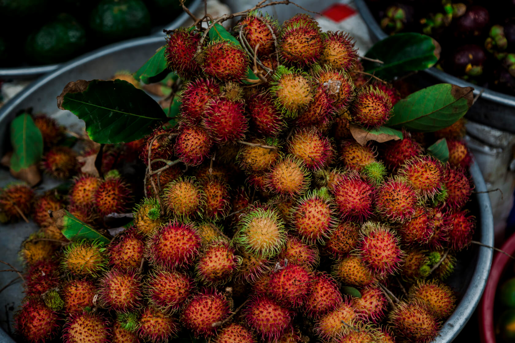 exotic vietnamese fruitrambutan