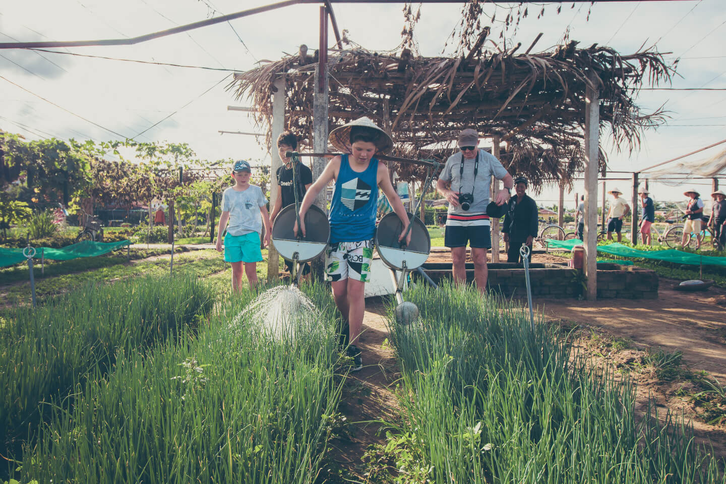farming tra que herb garden