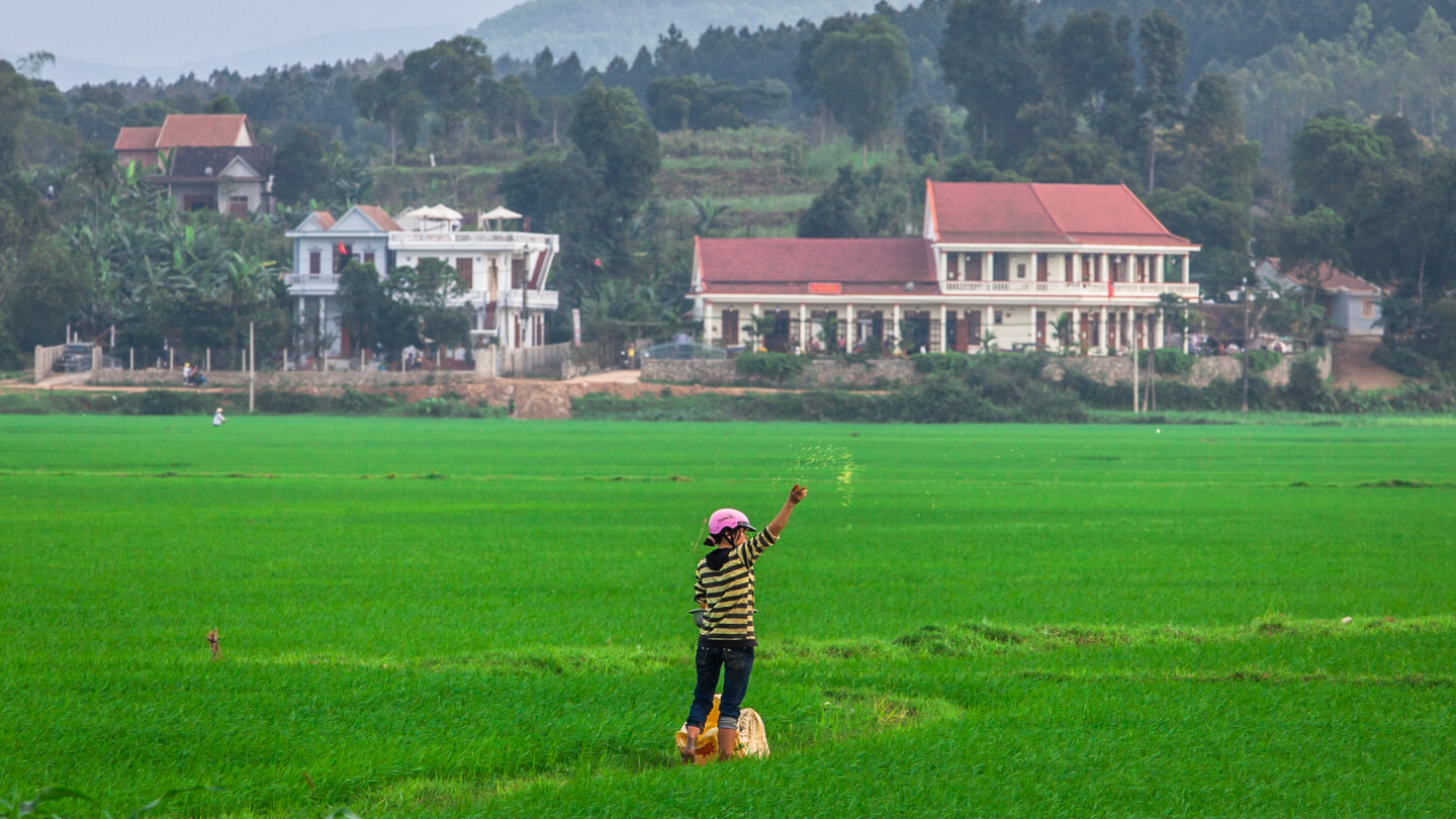 Phong Nha farmstay