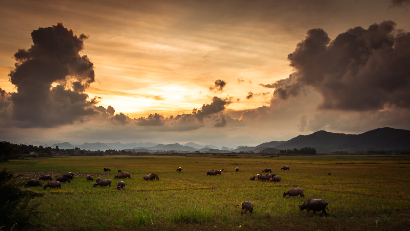 Phong Nha Ke Bang National Park