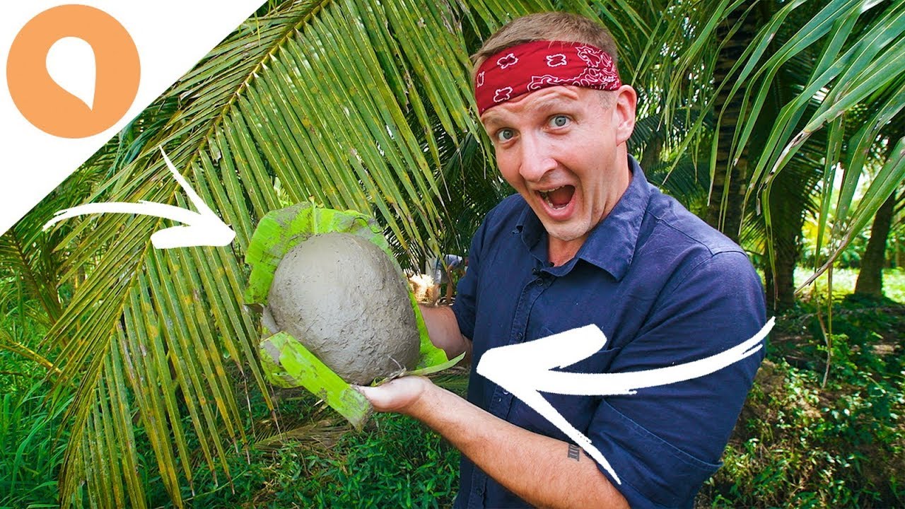 Your Guide to the Mekong Delta: What to do, see & eat - Itinerary included! - The Christina's Blog