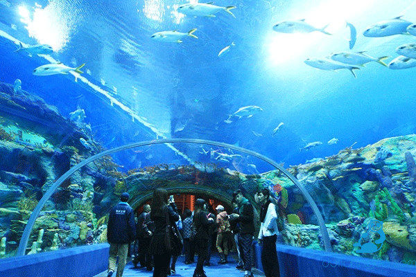 National Oceanographic Museum