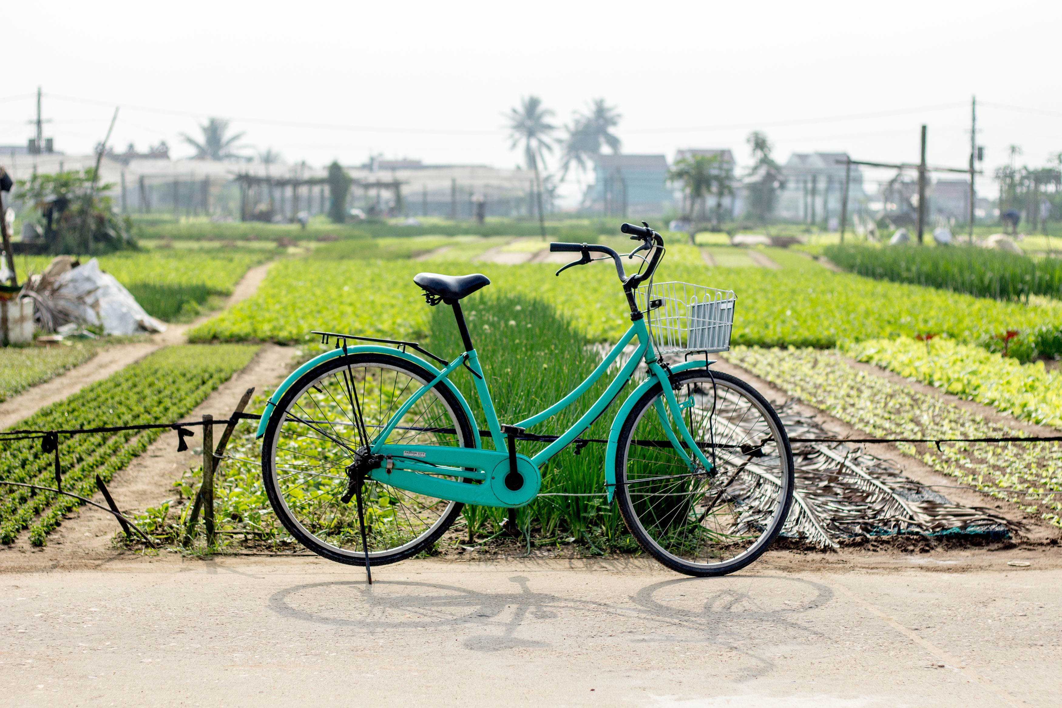 rent motorcycle hue vietnam