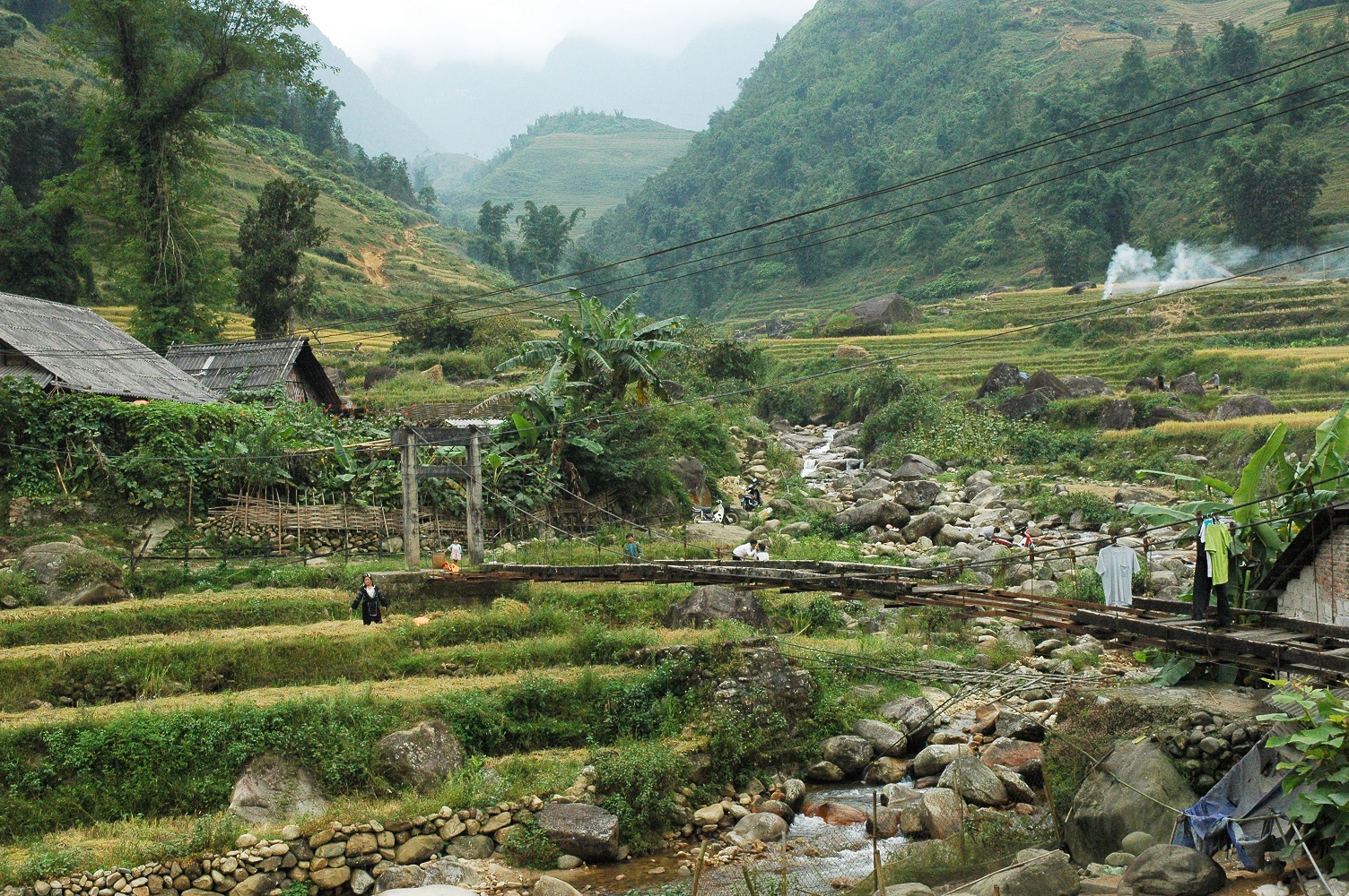 comprehensive guide to sapa