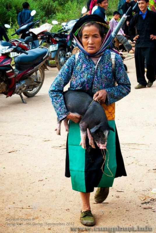 sapa market guide