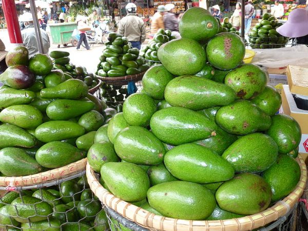 when to visit da lat