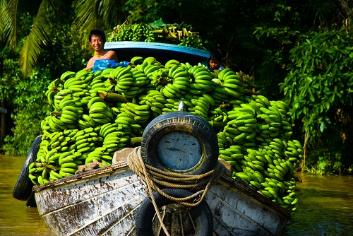 mekong-delta