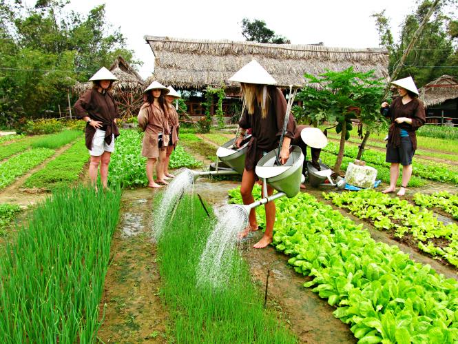 bong-bridge-festival-hoi-an