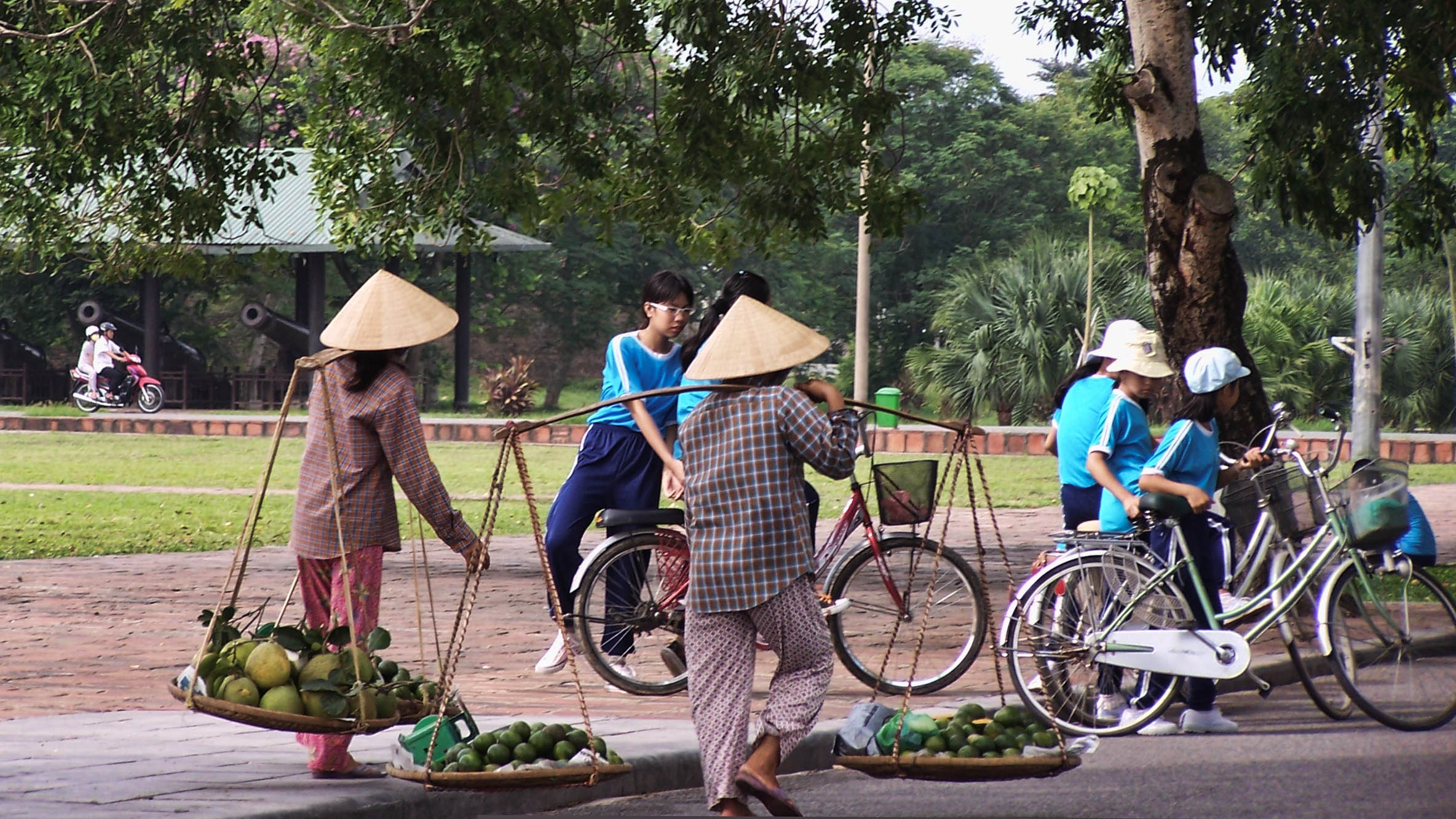 mekong-delta-bike