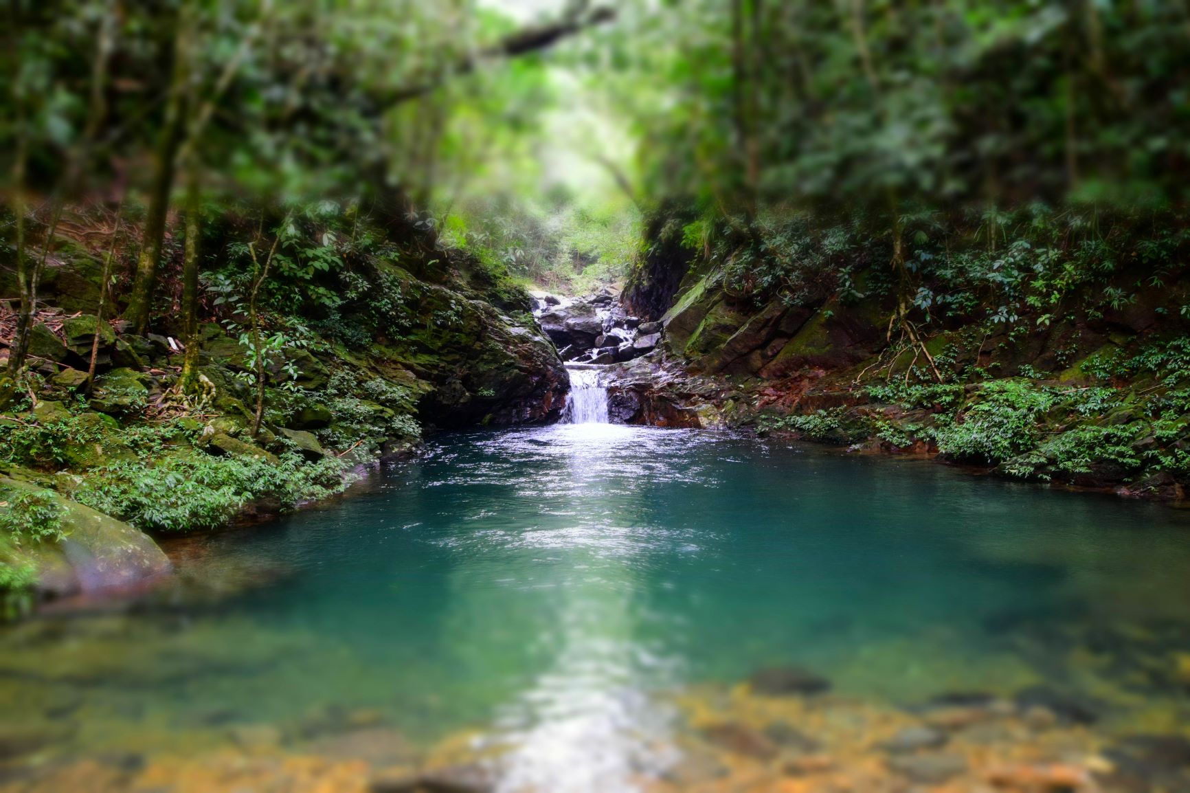 bach ma national park